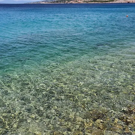 Ruzica * קלנוביצה